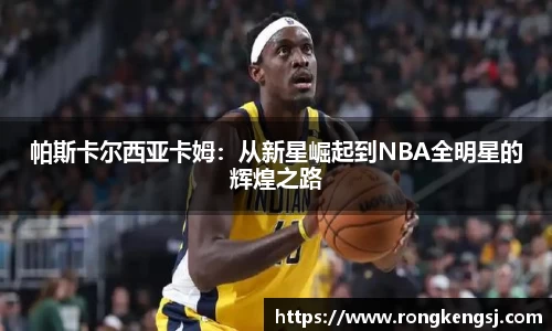 ng体育官方网站